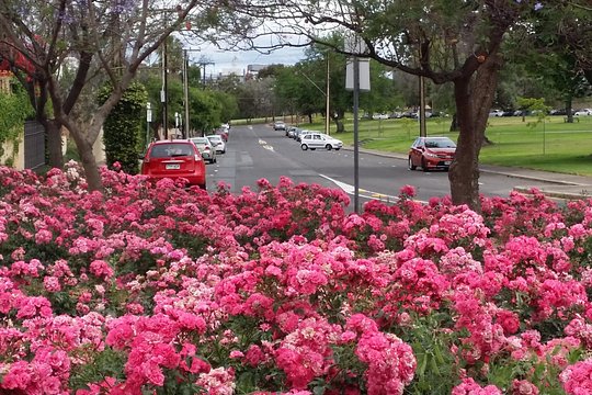 Tour image 5