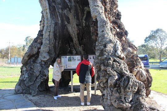 Tour image 4