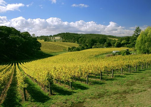 Tour image 12