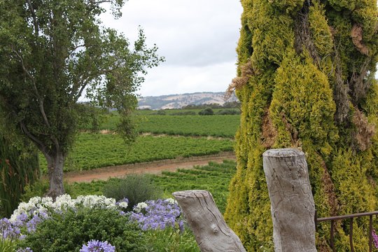 Tour image 5