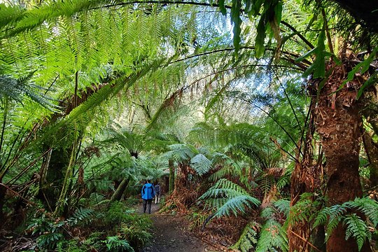 Tour image 11