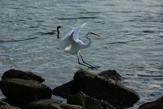 Tour image 12