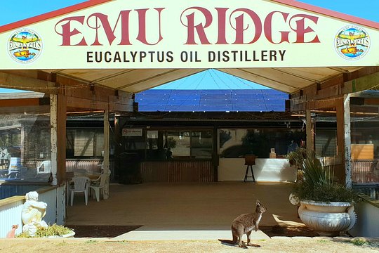 Tour image 5