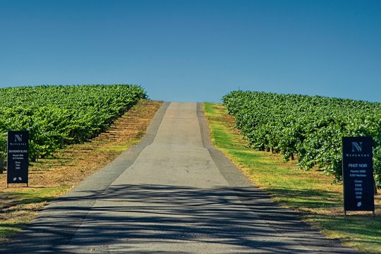 Tour image 6