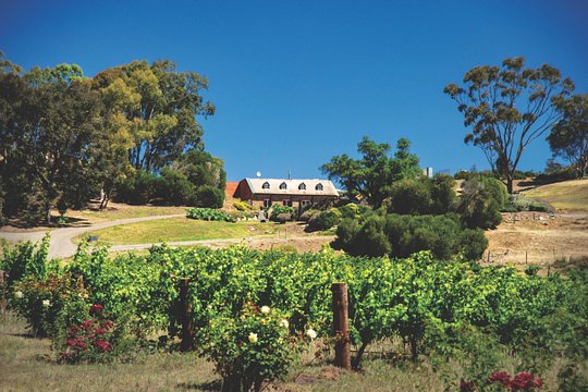 Tour image 7