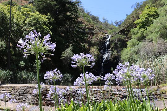 Tour image 6
