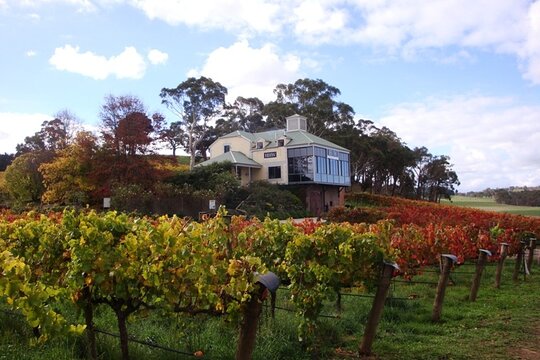 Tour image 6