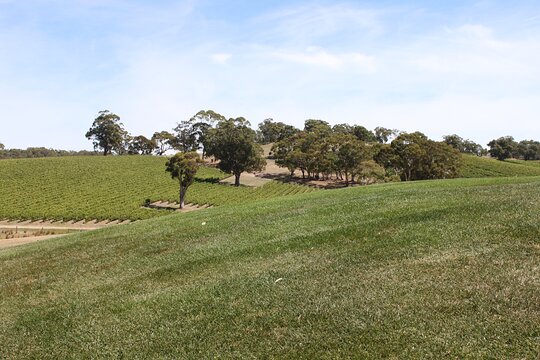 Tour image 12