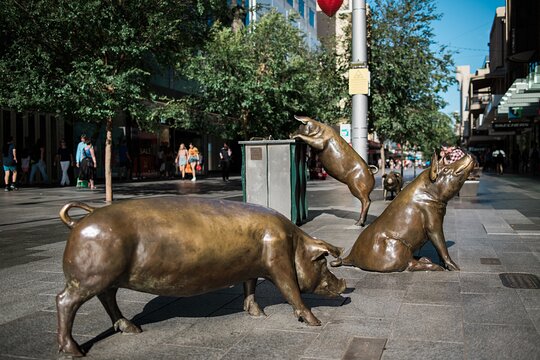 Tour image 5