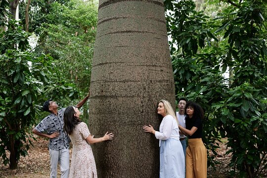 Tour image 1
