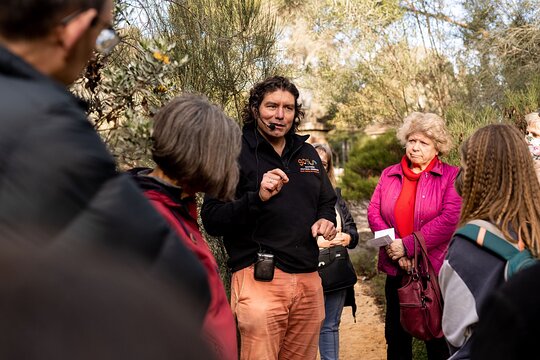 Tour image 4