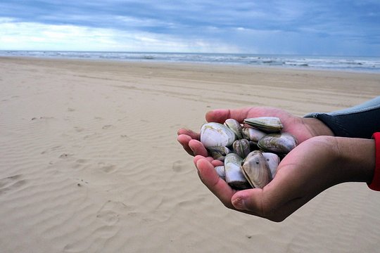 Tour image 1
