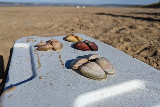 Tour image 2