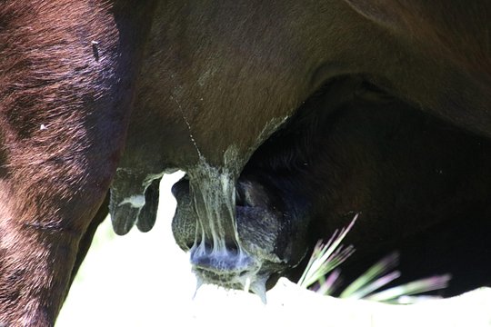 Tour image 3
