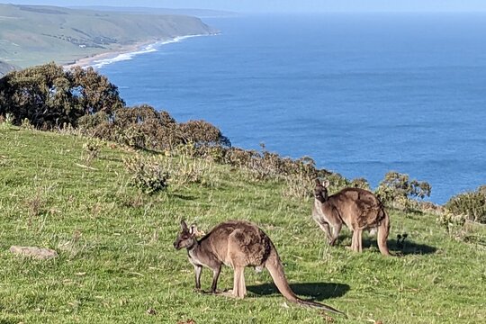 Tour image 12