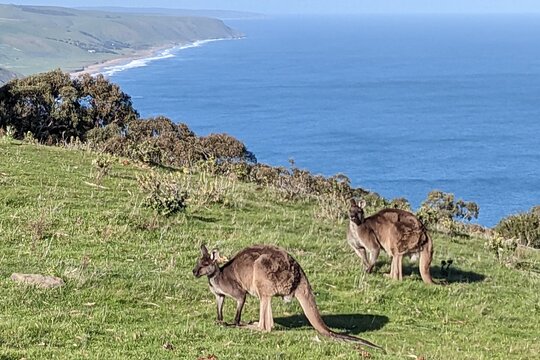 Tour image 6